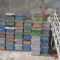 کندوی خالی زنبور عسل