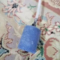 ماهی گوپی|ماهی|مشهد, شهید قربانی|دیوار