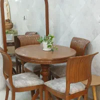 فروش انواع نهار خوری در رنگ های مختلف