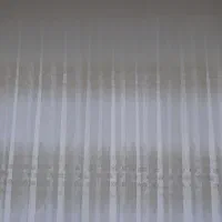 سفید شاین شب نما