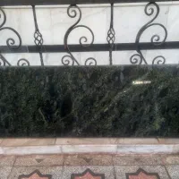 سنگ اپن آشپزخانه