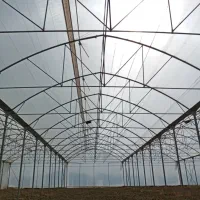 مشاره طراحی اجرا سازه گلخانه|خدمات باغبانی و درختکاری|رشت, کوی مهر|دیوار