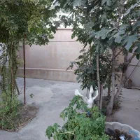 خانه ویلایی ، ۴۳۰ متر ، در رباط کریم پیغمبر|فروش خانه و ویلا|رباطکریم, پیغمبر|دیوار