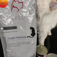 غذای خشک گربه سلبن عقیم شده