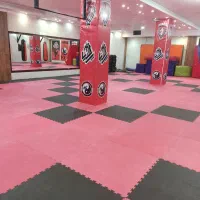 ورزش خیابان حسن بیگی