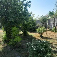 خانه‌ویلایی‌به‌متراژ۱۷۰۰متر|فروش خانه و ویلا|رشت, حومه رشت|دیوار