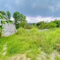 بهترین-فرصت-سرمایه-گزاری-میباشد-سندتکبرگ-شمال