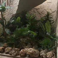 آقا هستم دنبال کار هستم سریع و توی هر کاری هرفی