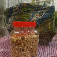 عروس هلندی شیطون بامزه|پرنده|تهران, حر|دیوار