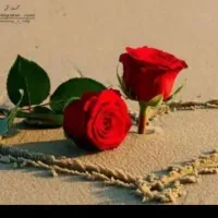پیدا شده