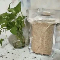 پودرگردو