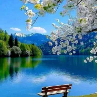 طبیعت‌گردی