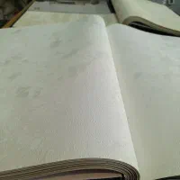 کاغذ دیواری سفید ساده. پتینه . جایگزین رنگ