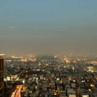 استخدام گچکارماهر