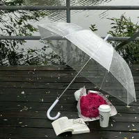 چتر شیشه ای طلقی شفاف