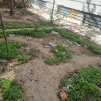 زمین ۳۱۲ متری