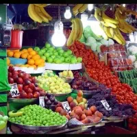 مغازه-میوه-فروشی-میدان-شهید-رجایی