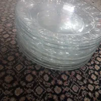 ۲۰ دست بشقاب انگشتی