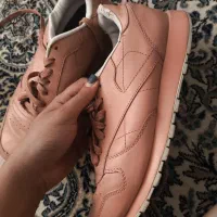 کفش|کیف، کفش، کمربند|شیراز, سرو|دیوار