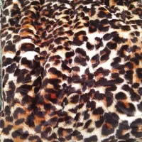 پتو  دونفره بزرگ|رختخواب، بالش، پتو|مسجد سلیمان, |دیوار