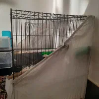 قفس|لوازم جانبی حیوانات|هشتگرد, شهرک صنعتی هشتگرد|دیوار