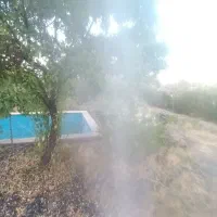 تیلرسایبان ساختمان درخت هرس قطره ای استخر