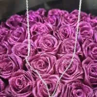 گردنبند فقط 130 هزار نو هستن