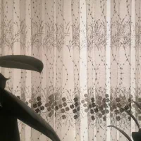 پرده پذیرایی