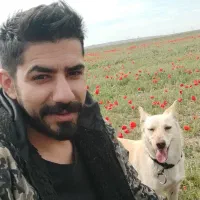 سگ‌‌اشپیتزروباهی