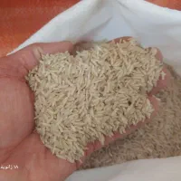 برنج قهوای|خوردنی و آشامیدنی|سنگر, |دیوار