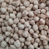 فروش نخود بهاره