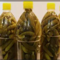 انواع ترشی های خانگی خاص برای سلیقه های خاص|خوردنی و آشامیدنی|تهران, اتابک|دیوار