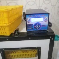 تخم بیار جوجه ببر دستگاه جوجه بلدرچین
