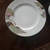 ظروف چینی
