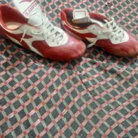 کفش چمنی|کیف، کفش، کمربند|ارومیه, |دیوار