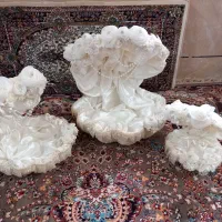 طبق اجاره ای|خدمات پذیرایی، مراسم|کاشان, فاز ۲ ناجی آباد|دیوار