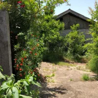 فروش خانه ویلایی|فروش خانه و ویلا|تولم شهر, |دیوار