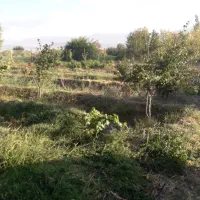 قطعه باغ فروشی در روستای گله بان|فروش دفتر صنعتی، کشاورزی، تجاری|یامچی, |دیوار