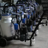 فروش انواع شیردوش دام سبک و سنگین