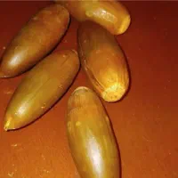 بلوط فروشی 2 تن