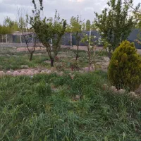 باغچه-1000متری-دنگیزک