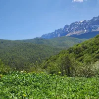 زمین ۵۰۰متری ییلاقی در دهکده زیبای ورپی)آلپ ایران(|فروش زمین و ملک کلنگی|پل سفید, |دیوار