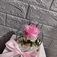 گل رز|گل مصنوعی|ساوه, |دیوار