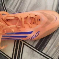 کفش سالنی|کیف، کفش، کمربند|فشاپویه, |دیوار