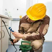 خدمات تخصصی دفع حشرات سمپاشی سوسک ساس موریانه