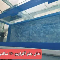 آکواریم ۱۲۰ سانتی معاوضه با پرنده زینتی|لوازم جانبی حیوانات|مشهد, دانشجو|دیوار