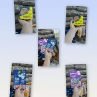 فروش لوازم سگ|لوازم جانبی حیوانات|خاوران, |دیوار