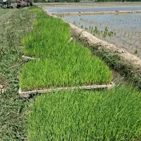 ۱۵ باکس علی کاظمی برای فروش