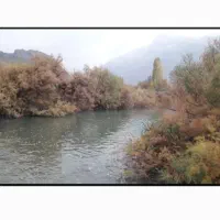 شراکت و سرمایهگذاری سفره خانه