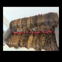 موی نچرال و زیبا